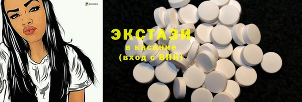 хмурый Каменка
