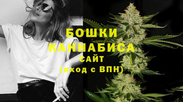 хмурый Каменка