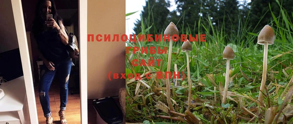 альфа пвп Беломорск