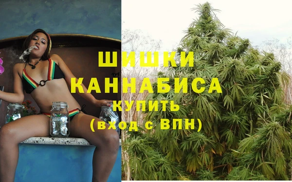 ешки Белокуриха