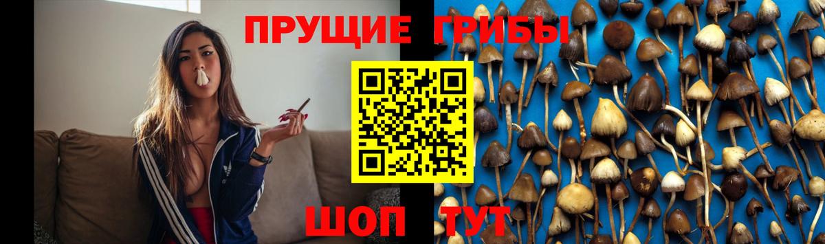 Пыть-Ях  Галлюциногенные грибы GOLDEN TEACHER  как найти наркотики  Вход с VPN 
